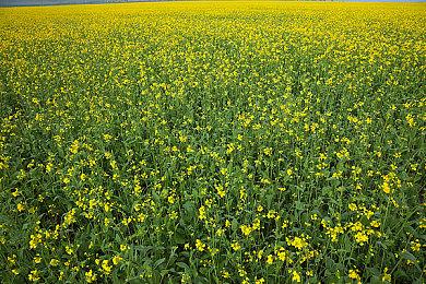 《地下城追踪者》全新实机演示 性感妹组团冒险