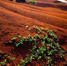 《命运2》新增隐藏异域武器任务 可获Vex偃月